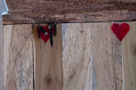 2010 Renaissance Fair